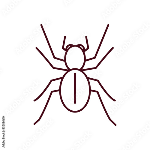 spider icon, line style photo