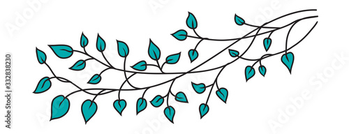 Green leaves in nature vector design element, hand drawn tree branch border decoration in pretty spring or summer pattern for graphic art projects