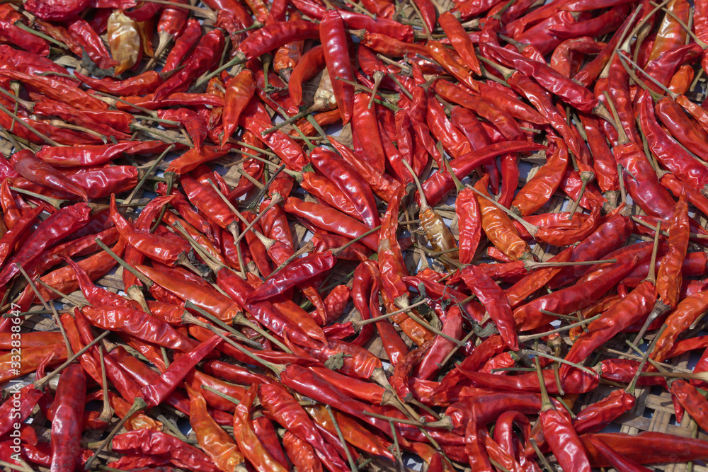 the pattern background of red chili 
