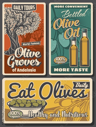 Olive oil bottles, green fruits and trees, vector design of food. Olive branches with leaves, bowl of marinated fruits and extra virgin oil retro posters of mediterranean cuisine cooking ingredients