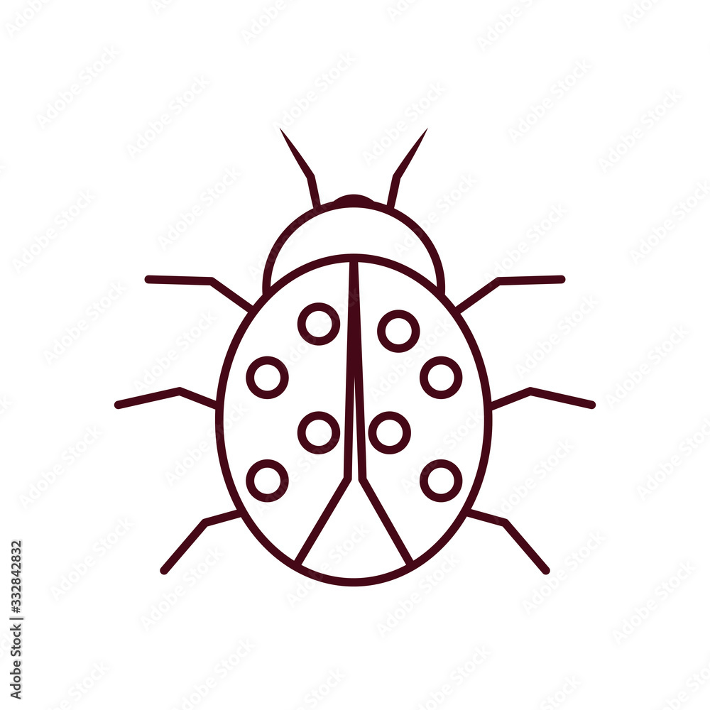 ladybug insect icon, line style ladybug insect icon, line style