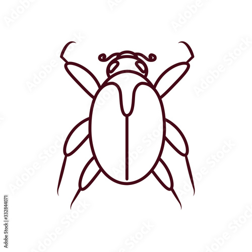 mite insect icon, line style
