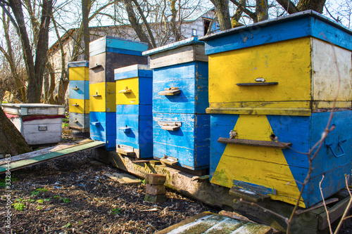 honey apiary, bee hive in the garden in early spring