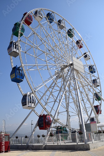 ferris wheel in the park