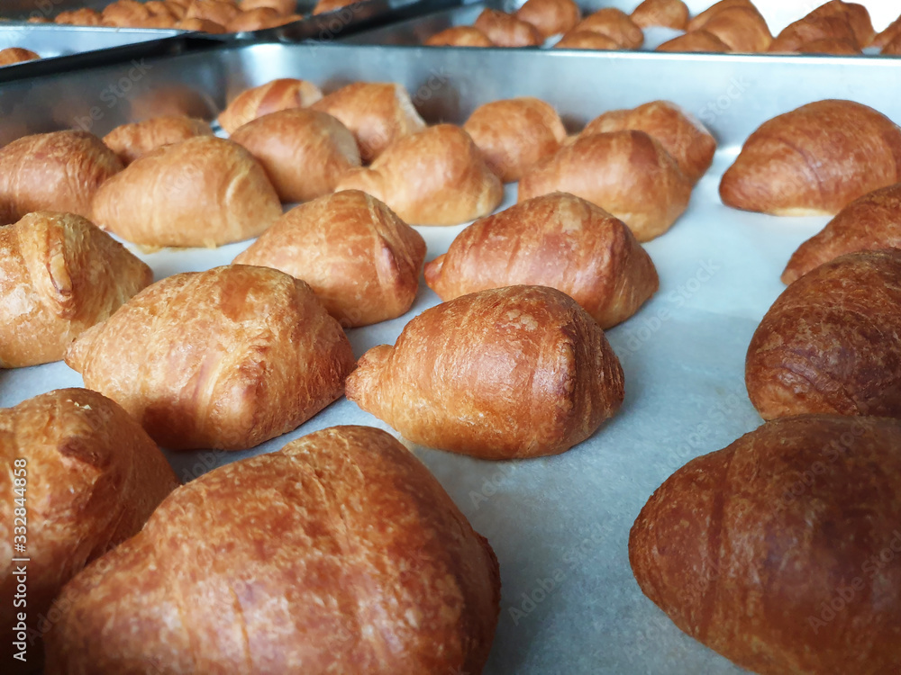 Fototapeta premium Fresh croissants on a baking sheet, after baking.