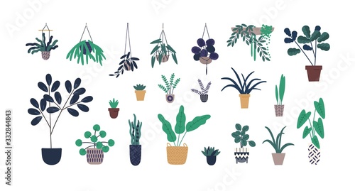 Set of colorful cartoon pottery plant isolated on white background. Collection of houseplant growing in pots vector flat illustration. Fresh greenery in ceramic container botanical gardening