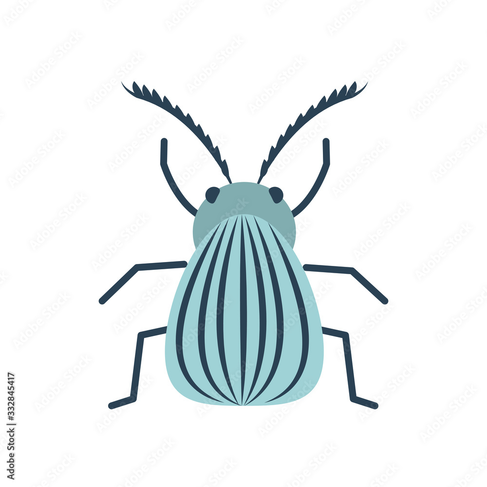colorado beetle icon, flat style colorado beetle icon, flat style