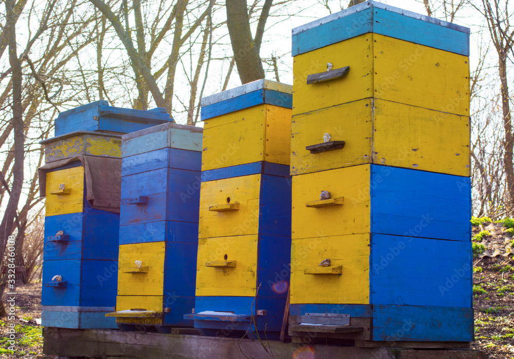 honey apiary, bee hive in the garden in early spring honey apiary, bee hive in the garden in early spring