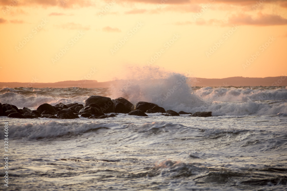 Fototapeta premium SEA