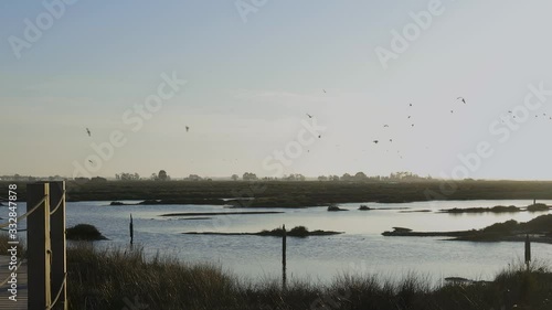 Beautiful view of birds flying over Aveiro River at Passadiços de Aveiro.