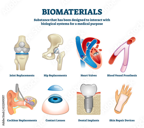 Biomaterials vector illustration. Labeled organ replacement collection set.
