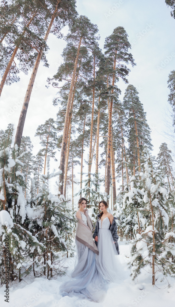 a beautiful girl in a wedding dress stands in a winter pine forest a beautiful girl in a wedding dress stands in a winter pine forest