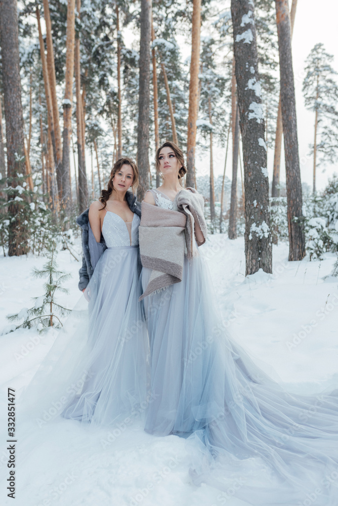 a beautiful girl in a wedding dress stands in a winter pine forest a beautiful girl in a wedding dress stands in a winter pine forest