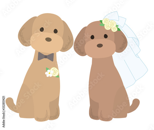 トイプードル　犬　結婚式　セット　イラスト
