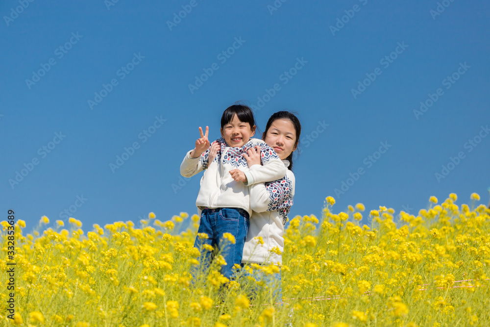 Fototapeta premium 春の満開の菜の花畑で遊んでいる子供姉妹