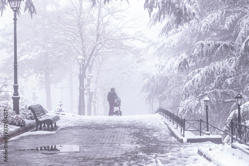 Mother with a baby stroller walks in a snowy and foggy park. Woman with a baby carriage Walking in a winter park. Walk with the baby in the fresh air. 