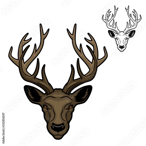 Deer with antlers mascot of vector animal head. Hunting  sport and zoo mascot of reindeer  wild herbivores mammal stag or doe with brown fur and large horns