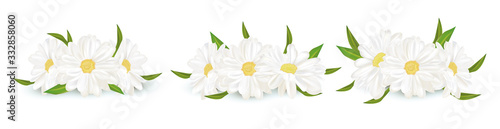 3D realistic chamomile isolated on white background. Delicate flower chamomile. Fresh bunch chamomile. Vector illustration