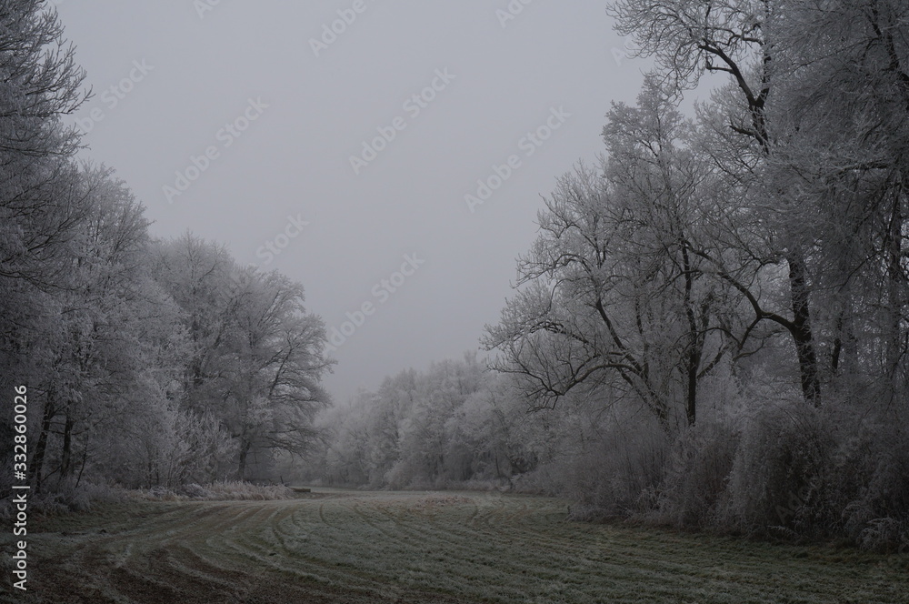 Obraz premium Winterlandschaft im Januar