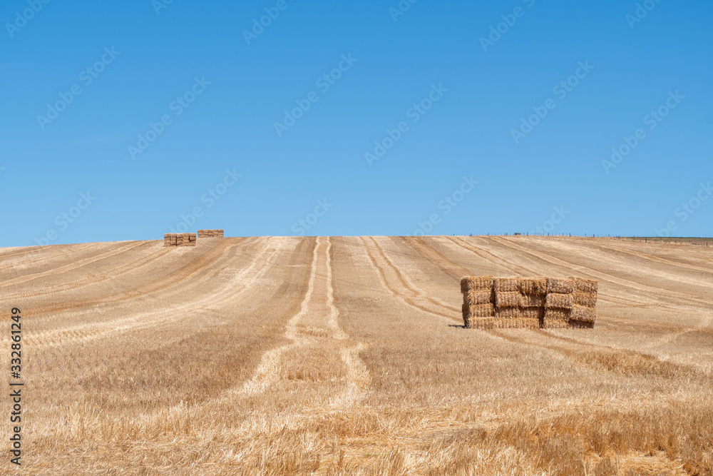 Grass Farmlands in Cape Town South Africa 