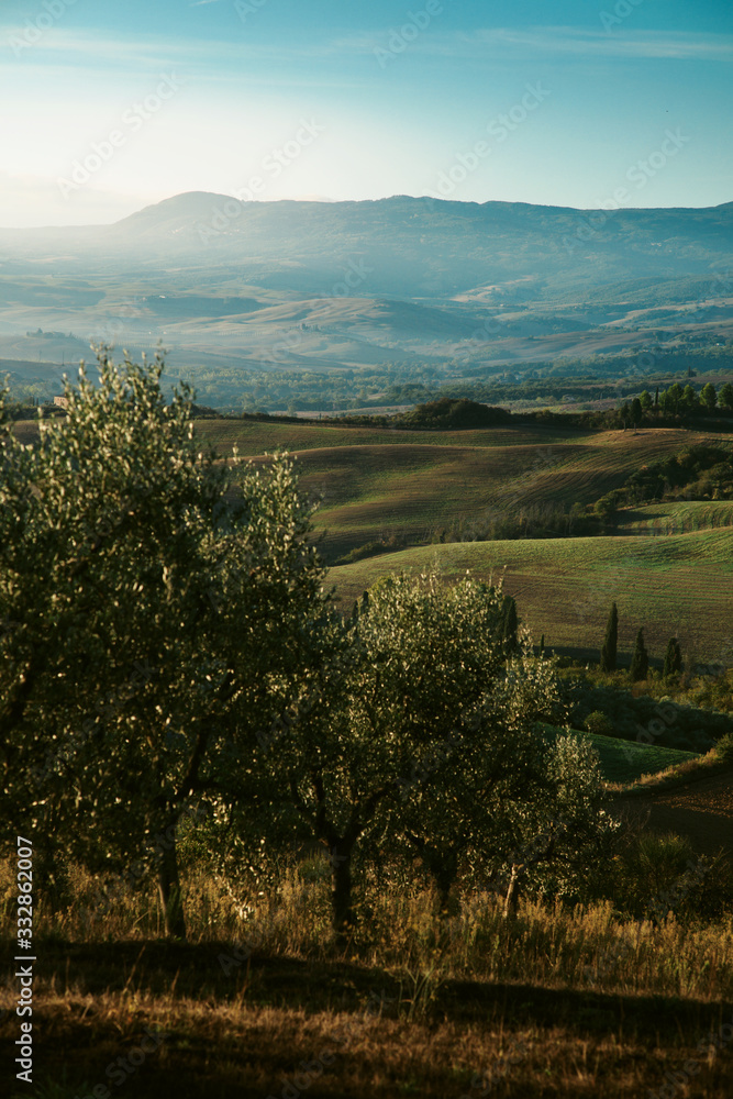 Naklejka premium Early morning on countryside, Val d´Orcia, Tuscany, Italy