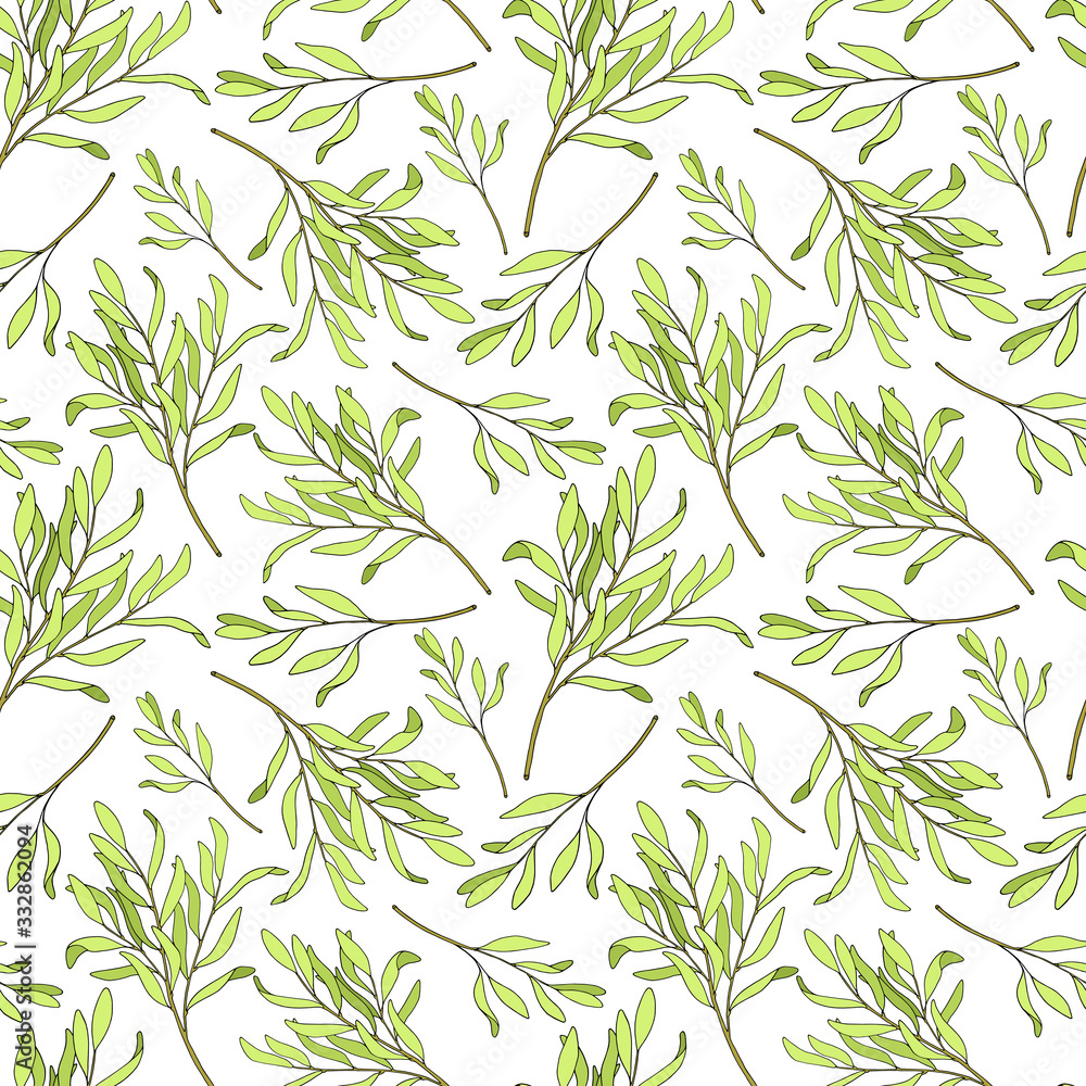 Tea tree leaves seamless pattern. Hand drawn vector illustration of Melaleuca. Green medicinal plant isolated on white background. Herbs for cosmetics, package, textile, essential oil Tea tree leaves seamless pattern. Hand drawn vector illustration of Melaleuca. Green medicinal plant isolated on white background. Herbs for cosmetics, package, textile, essential oil