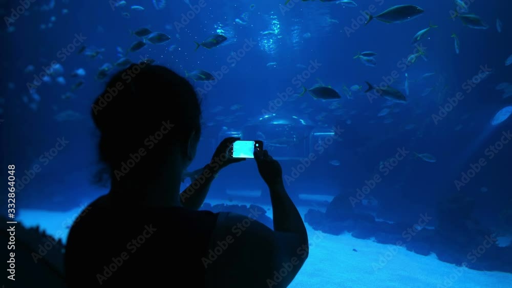 Woman taking picture of fish in water in 4k slow motion 60fps
Woman taking picture of fish in water in 4k slow motion 60fps