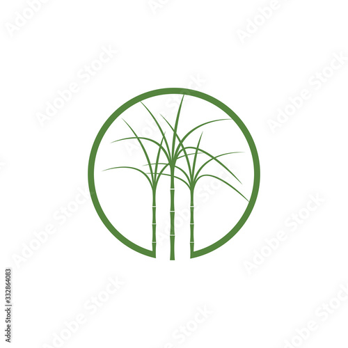 Sugar cane Logo Template vector symbol