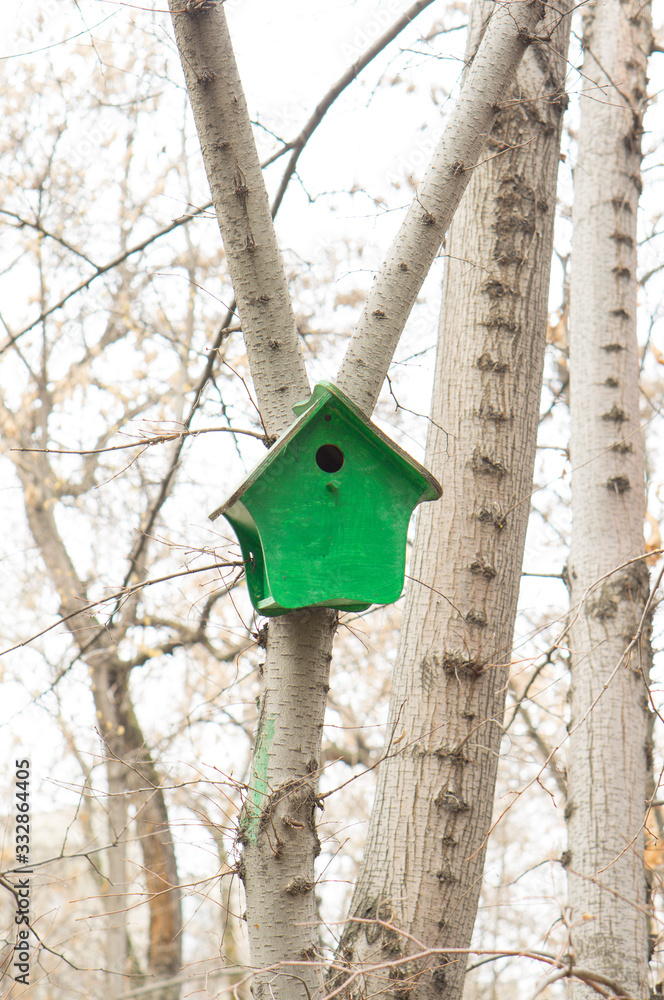 birdhouse is waiting for the arrival of new residents. birdhouse is waiting for the arrival of new residents.
