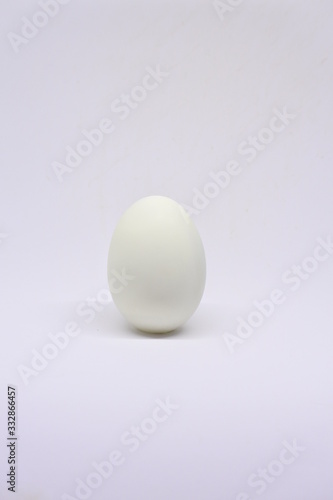 duck egg on white background
