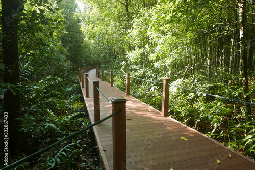 A walkway of mangrove swamp reserve park located at Kuala Sepetang Perak Malaysia.