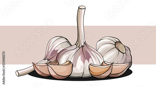 Vector simple illustration of a group of bulb garlic with cloves on a label.