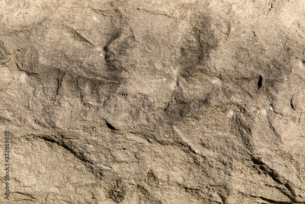 Texture wall Texture wall