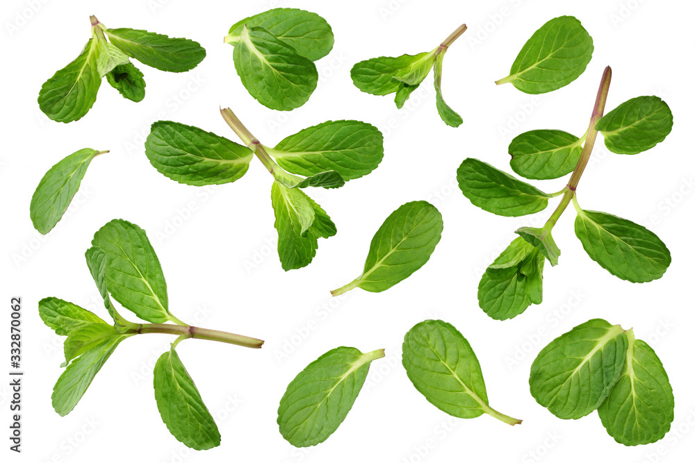 Fresh mint leaves isolated on white background. top view Fresh mint leaves isolated on white background. top view