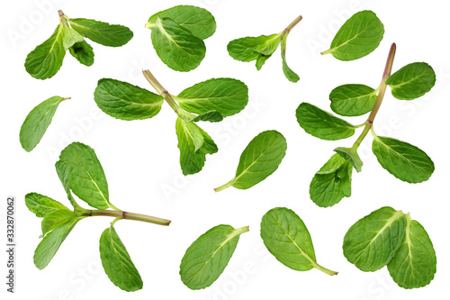 Fresh mint leaves isolated on white background. top view © Dmytro