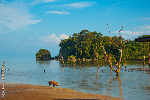 BAKO, KUCHING, SARAWAK, BORNEO, MALAYSIA: beautiful landscape with views of the Bako national Park beach landscape with rocks with mountain views