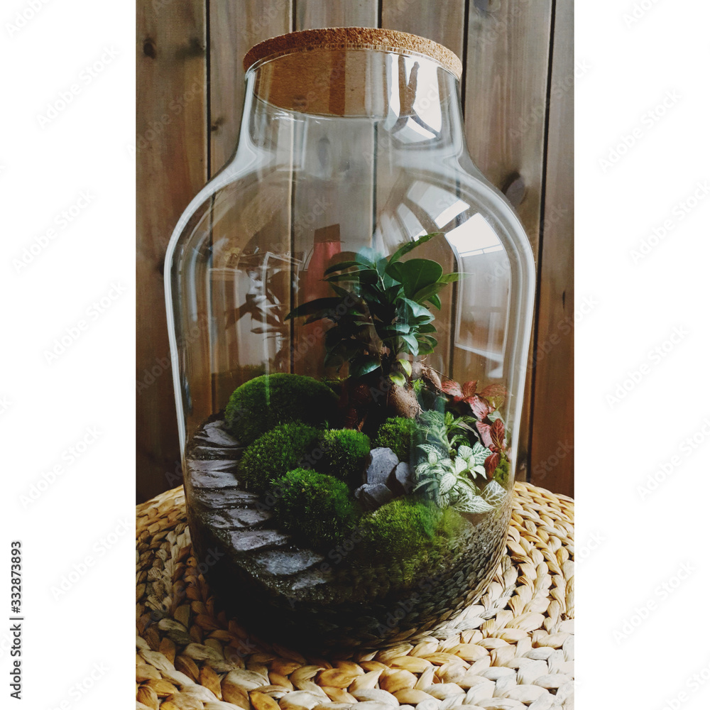 Small decoration plants in a glass bottle/garden terrarium bottle/ forest in a jar. Terrarium jar with piece of forest with self ecosystem. Save the earth concept. Bonsai Small decoration plants in a glass bottle/garden terrarium bottle/ forest in a jar. Terrarium jar with piece of forest with self ecosystem. Save the earth concept. Bonsai