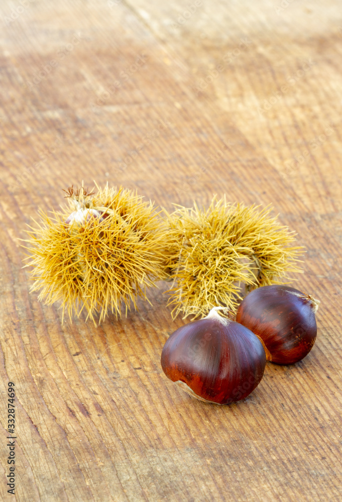 sweet chestnut fruits on a wooden cutting board sweet chestnut fruits on a wooden cutting board