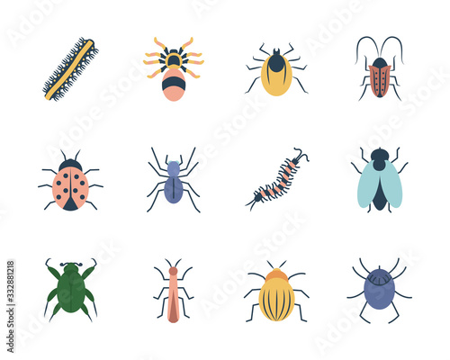 spider and insect icon set, flat style