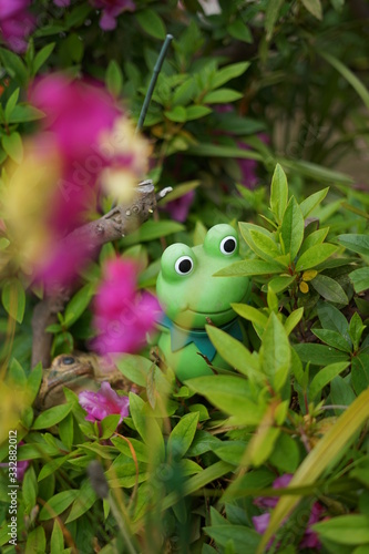 庭　蛙 © 玉皎 王