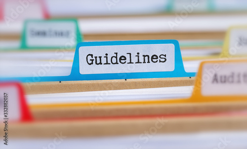 File folders with a tab labeled Guidelines photo