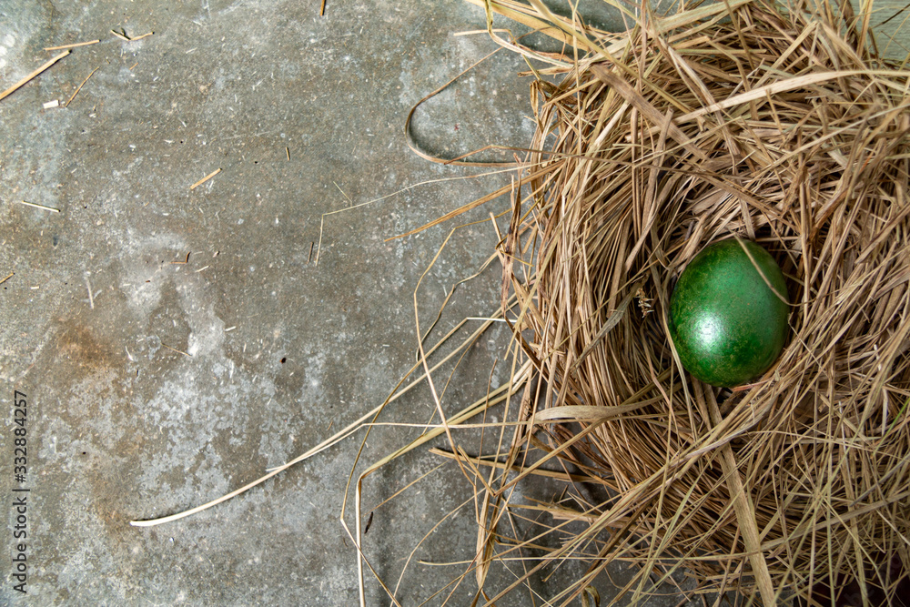Easter holiday background. green easter egg in nest. Easter mocku up