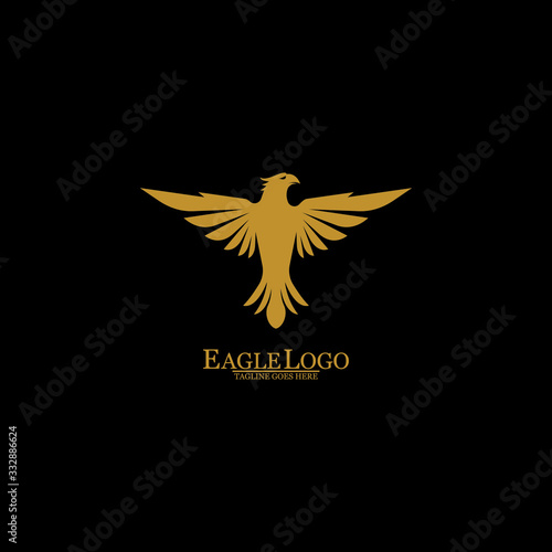 Golden Eagle with Black Background, Vector, Illustration photo
