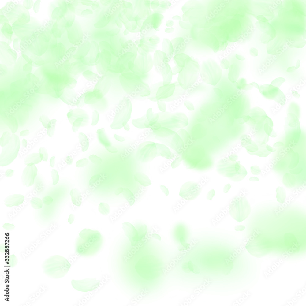 Green flower petals falling down. Beauteous romant Green flower petals falling down. Beauteous romant