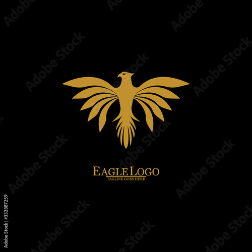 Golden Eagle with Black Background, Vector, Illustration