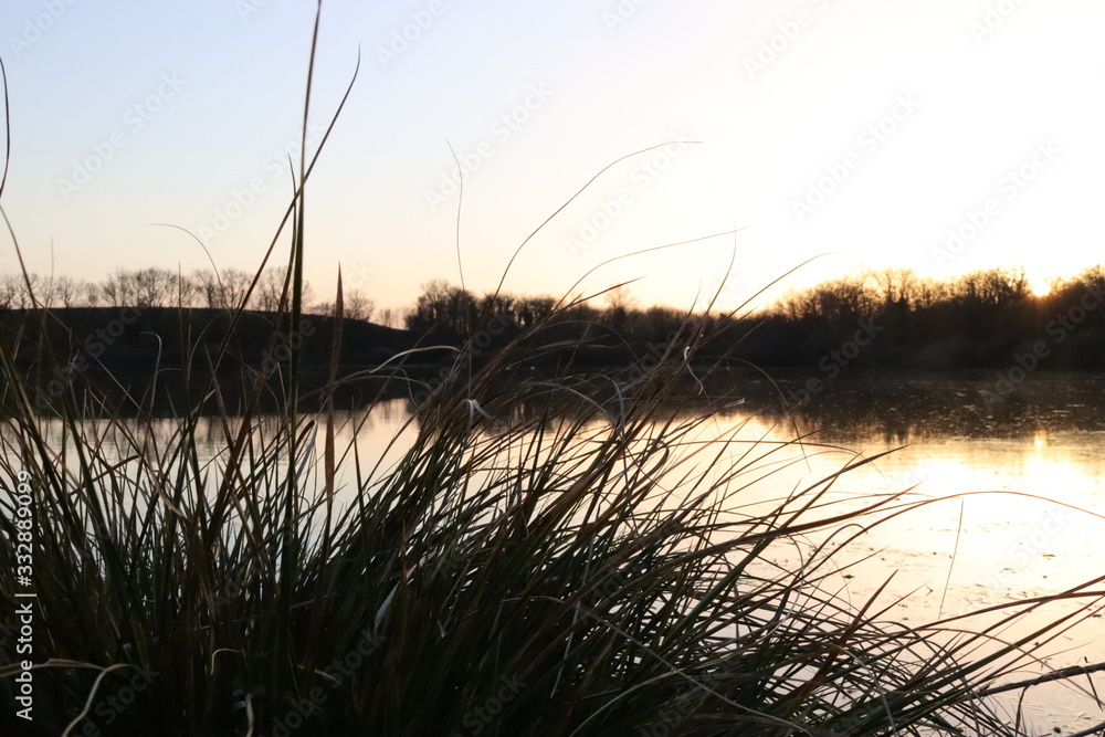 Fototapeta premium sunset over lake