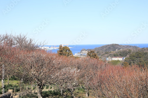 田浦から眺める東京湾