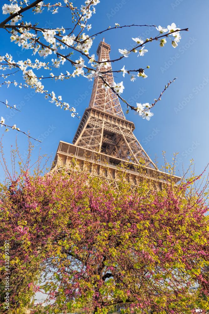 Eiffel Tower with spring trees in Paris, France Eiffel Tower with spring trees in Paris, France