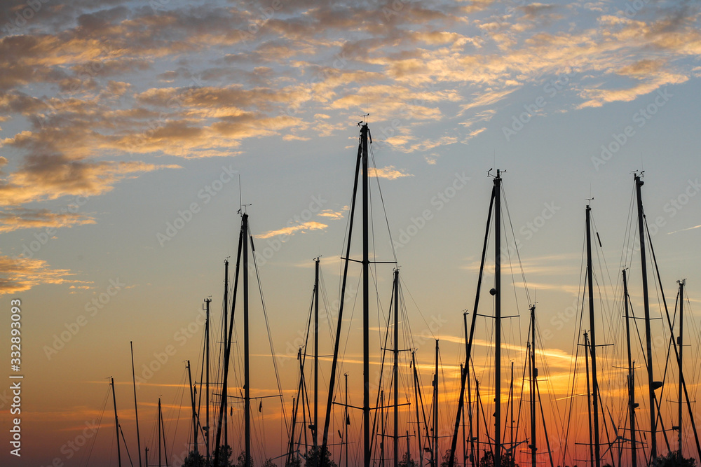 the masts of many sailing boats in the evening sun the masts of many sailing boats in the evening sun