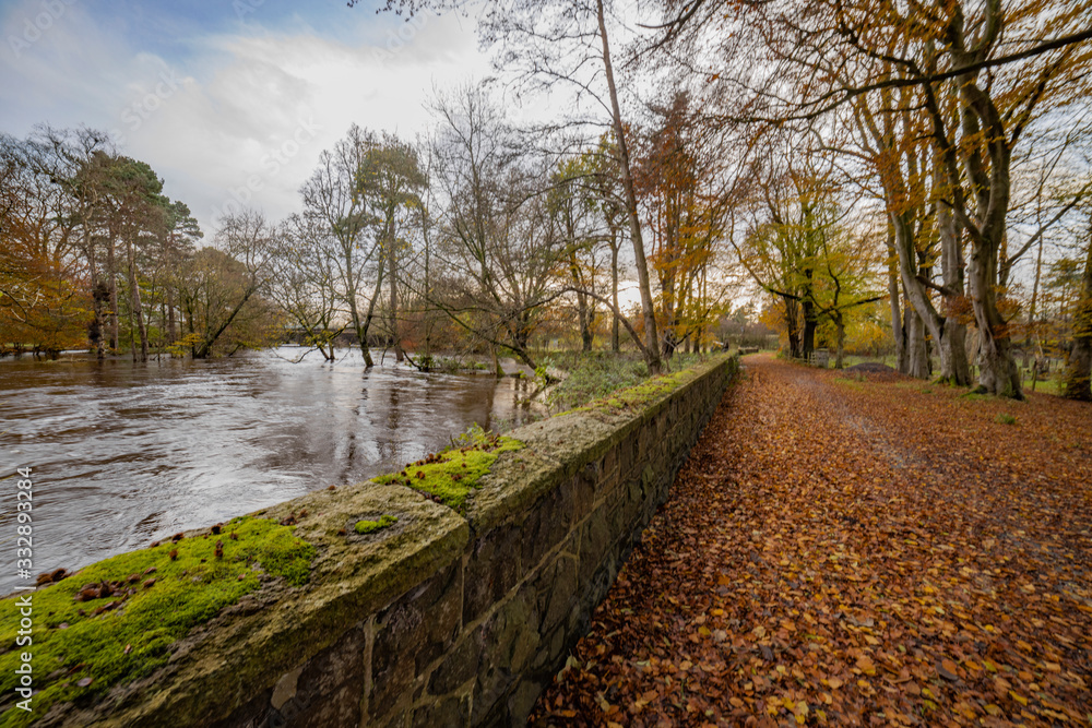 Autumn at Currells Avenue, Ballymena, County Antrim Autumn at Currells Avenue, Ballymena, County Antrim
